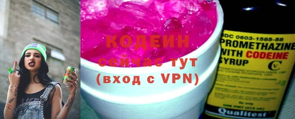 СК Кодинск