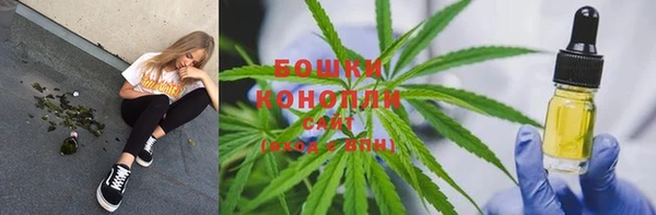 прущие грибы Кинешма