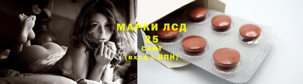 гашик Козельск