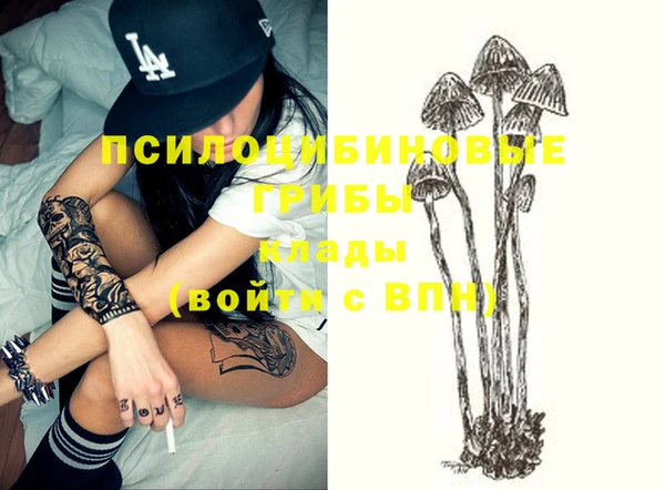 прущие грибы Кинешма