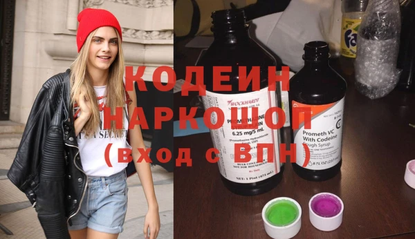 СК Кодинск