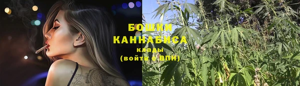 прущие грибы Кинешма