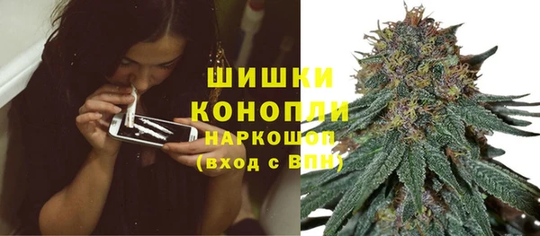 прущие грибы Кинешма